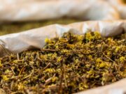 Plantes médicinales maghrébines : guide complet de la phytothérapie traditionnelle 30 plantes médicinales maghrébines sur une table de cuisine avec des bouteilles d'huile essentielle