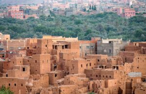 Les oasis : un patrimoine en danger – Appel à la mobilisation des lecteurs maghrébins de la diaspora Famille maghrébine en voyage dans un oasis en désert