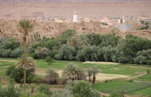 Oasis du Maghreb : les oasis en danger et le développement durable oasis du maghreb en crise, membres de la diaspora agissant pour le développement durable