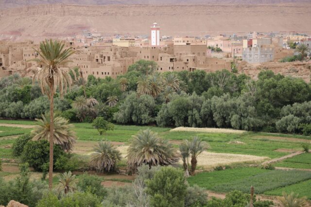 oasis du maghreb en crise, membres de la diaspora agissant pour le développement durable