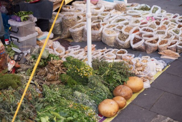 Phytotherapy with Maghreb Herbs Family exploring traditional North African herbal medicine