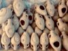 L’UNESCO honore l’artisanat tunisien : une récompense pour la culture et le patrimoine national UNESCO honoring Tunisian craftsmen with a national heritage award