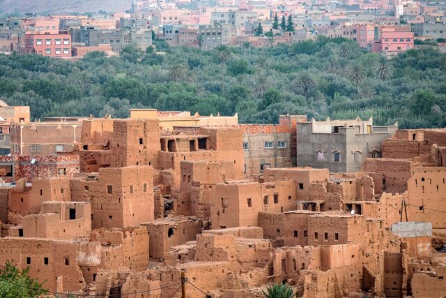 oasis du Maghreb famille naturelle Famille entourée d'arbres dans une oasis de Maghreb développement durable