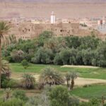 Les oasis maghrébines : une ressource précieuse à préserver et développer durablement