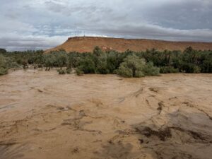 Oasis du Maghreb : un regard sur le patrimoine culturel en danger