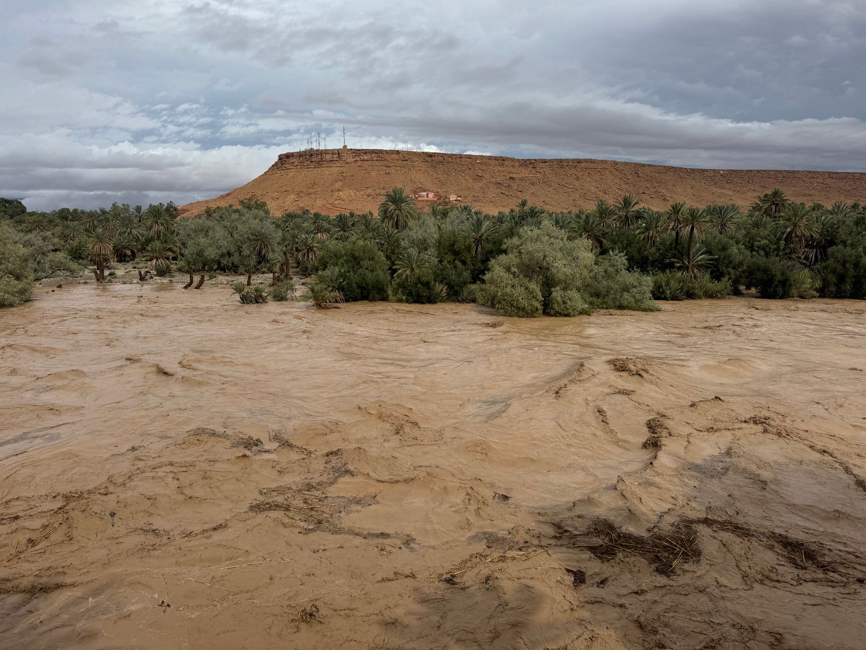 oasis maghreb en danger, palmiers avec ruines en arrière-plan