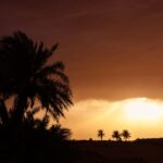 Les oasis marocaines : concurrencées par la culture de la pastèque et menacées par l’avancée du désert