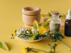 Phytothérapie maghrébine : 10 plantes médicinales à connaître 10 plantes médicinales traditionnelles maghrébines