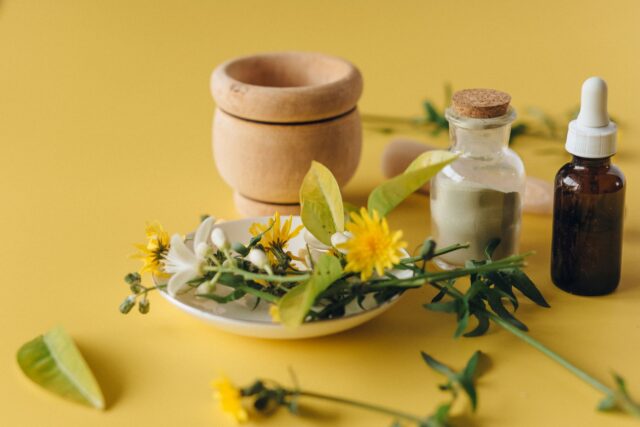 10 plantes médicinales traditionnelles maghrébines