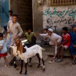 La Fête musulmane du Sacrifice 2026 (Aïd el-Kébir ou Aïd al-Adha) : préparations et dispositions sanitaires pour les lecteurs maghrébins de la diaspora