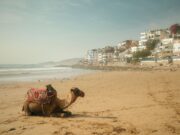 Le Maroc est le premier choix des Français pour leurs vacances d’été Français en vacances au Maroc sur la plage