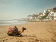 Le Maroc est le premier choix des Français pour leurs vacances d’été Français en vacances au Maroc sur la plage