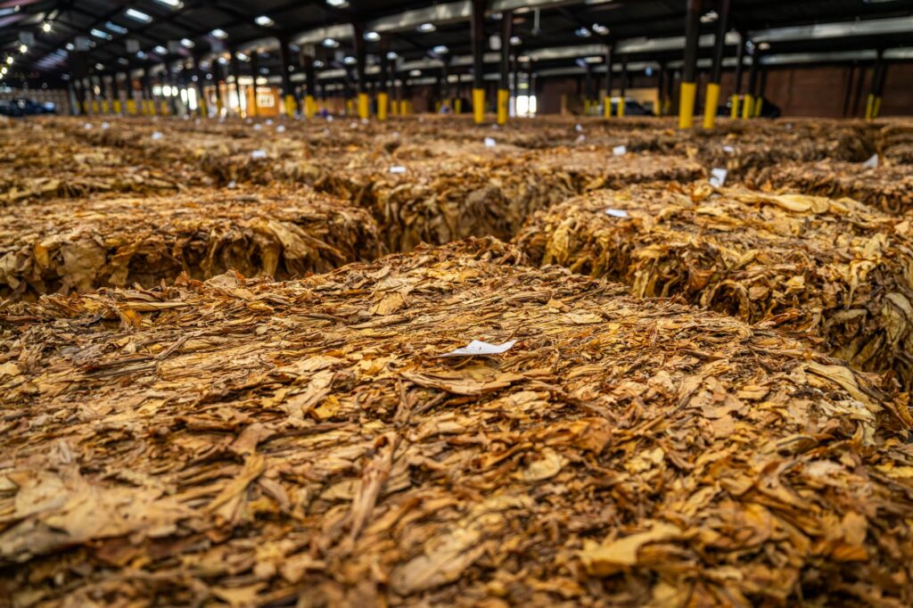 Le verrouillage du marché du tabac en Algérie : décryptage