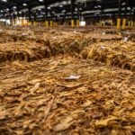 Le verrouillage du marché du tabac en Algérie : décryptage