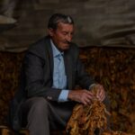 L’effondrement de l’Empire d’Ayoub Aissiou : enquête sur la chute de l’empire du tabac algérien