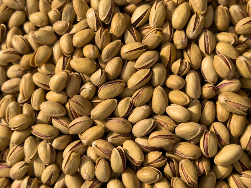 Le pistachier marocain : Variétés, rendement et rentabilité
