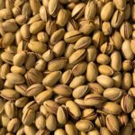Le pistachier marocain : Variétés, rendement et rentabilité