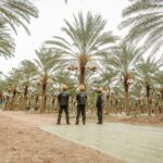 Oasis du Maghreb : des lieux d’exception pour la sauvegarde des ressources du développement durable