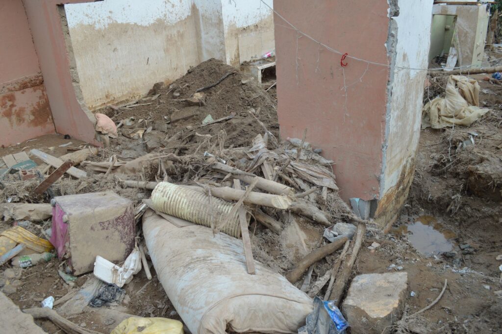 Les oasis marocaines, un patrimoine en danger : Un appel à la préservation pour nos descendants