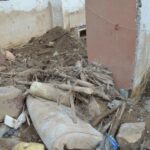 Les oasis marocaines, un patrimoine en danger : Un appel à la préservation pour nos descendants