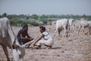 Maroc et Libye : les conséquences des catastrophes naturelles sur le Maghreb