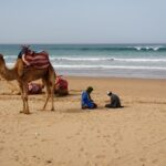 Le ministère du Tourisme marocain en crise face à la baisse des touristes : quelles sont les causes et les conséquences ?