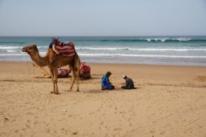 Le ministère du Tourisme marocain en crise face à la baisse des touristes : quelles sont les causes et les conséquences ?