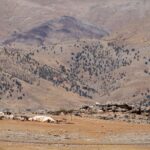 Algérie en pleine attraction touristique : un rapport de l’ATTA souligne une augmentation record de touristes