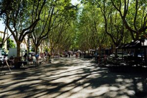 Dar Aylan : l’atelier d’artisanat marocain en plein essor