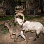 Découvrez des traditions authentiques en visitant un ecomusée maghrébin
