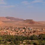 Oasis du Maghreb : patrimoine naturel en danger du développement durable