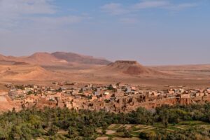 Oasis du Maghreb : patrimoine naturel en danger du développement durable