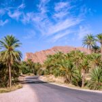 10 idées créatives pour des vacances exceptionnelles en Algérie