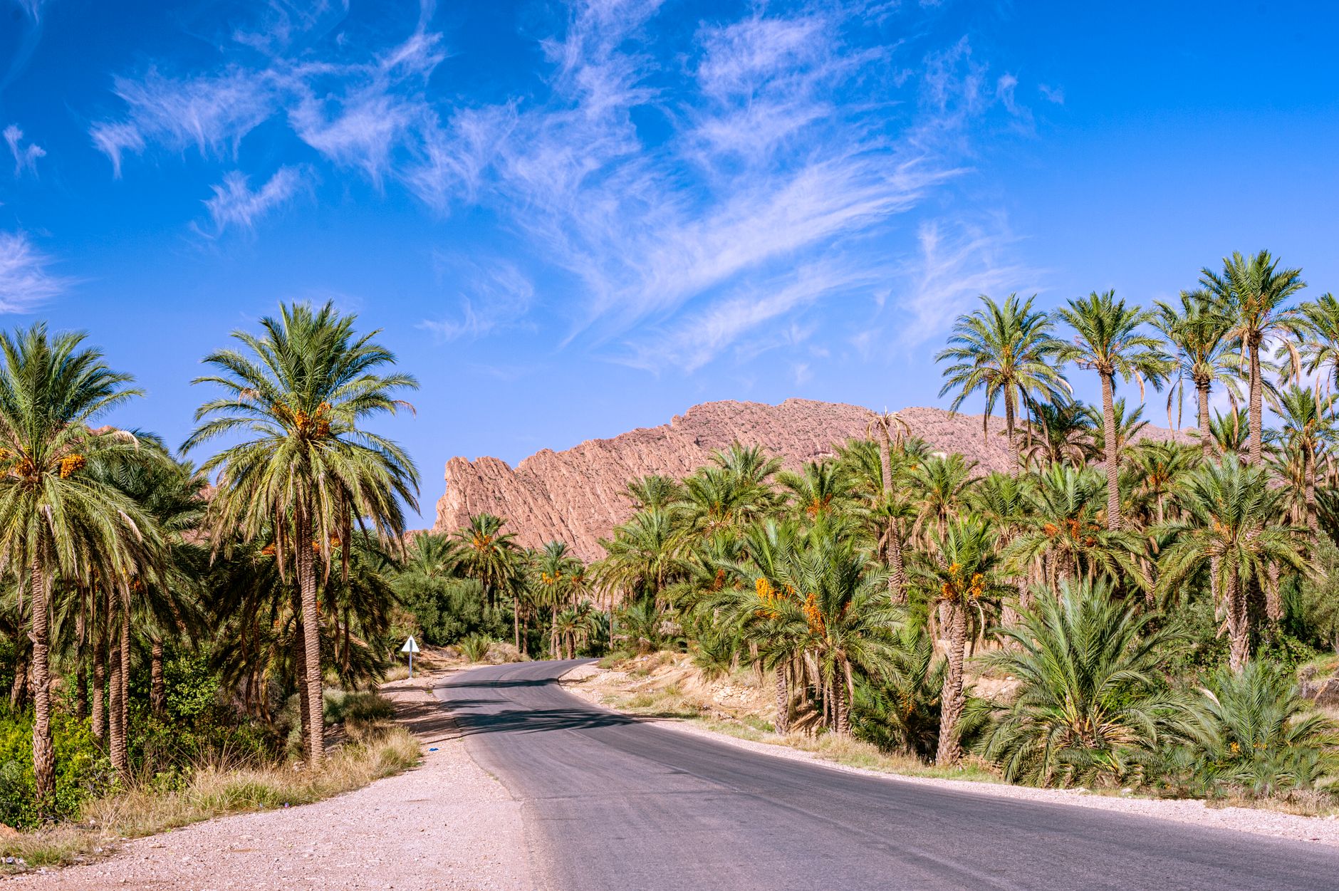 family enjoying creative vacations in Algeria, exploring unique experiences
